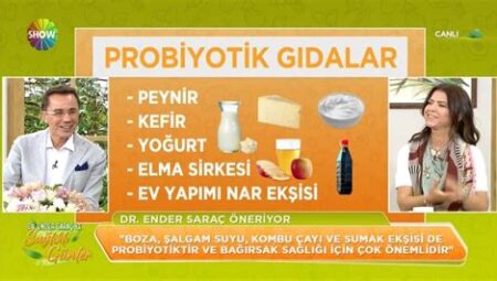 Probiyotik Zengini Gıdalar Nelerdir?